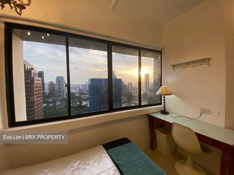 Lucky Plaza (D9), Apartment #573699971